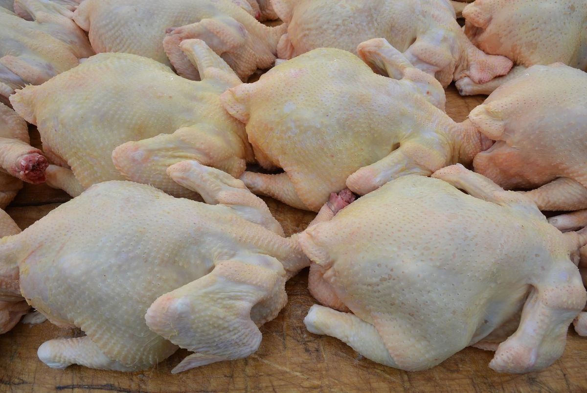 Dressed chicken ready for the kitchen