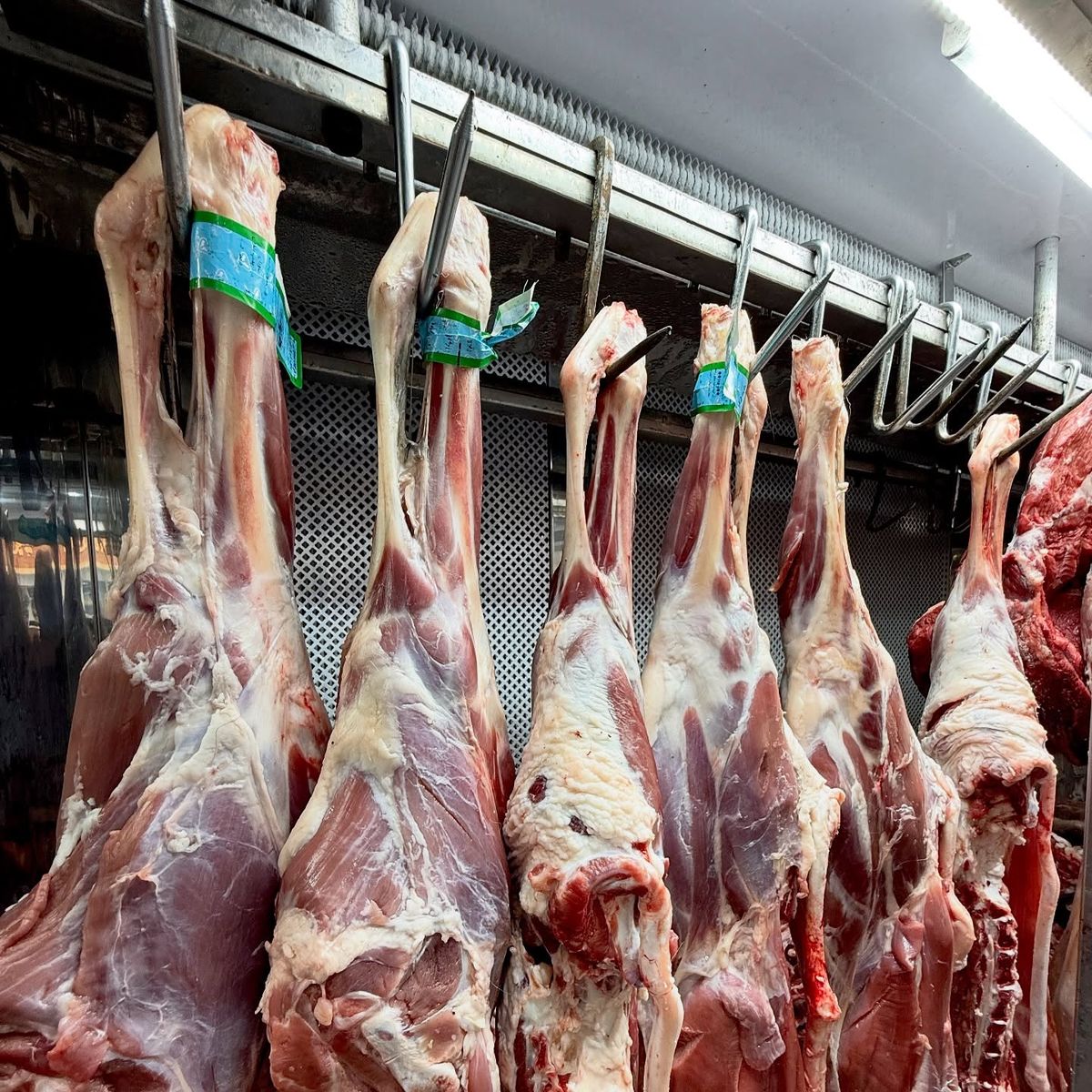 Goat meat, hung and chilled